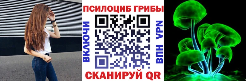 Псилоцибиновые грибы прущие грибы  купить закладку  Губкинский 
